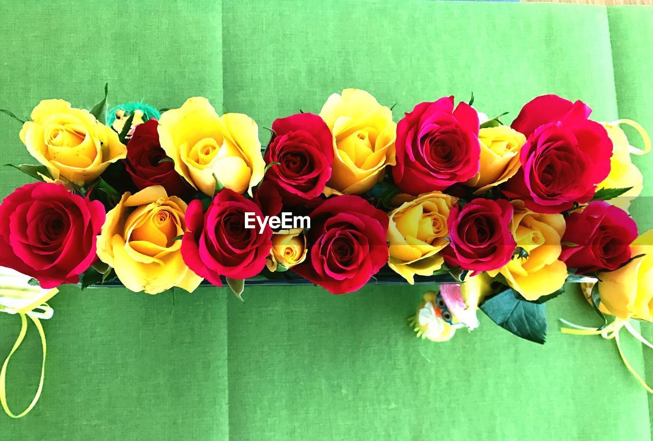 CLOSE-UP OF MULTI COLORED ROSES AGAINST YELLOW BOUQUET