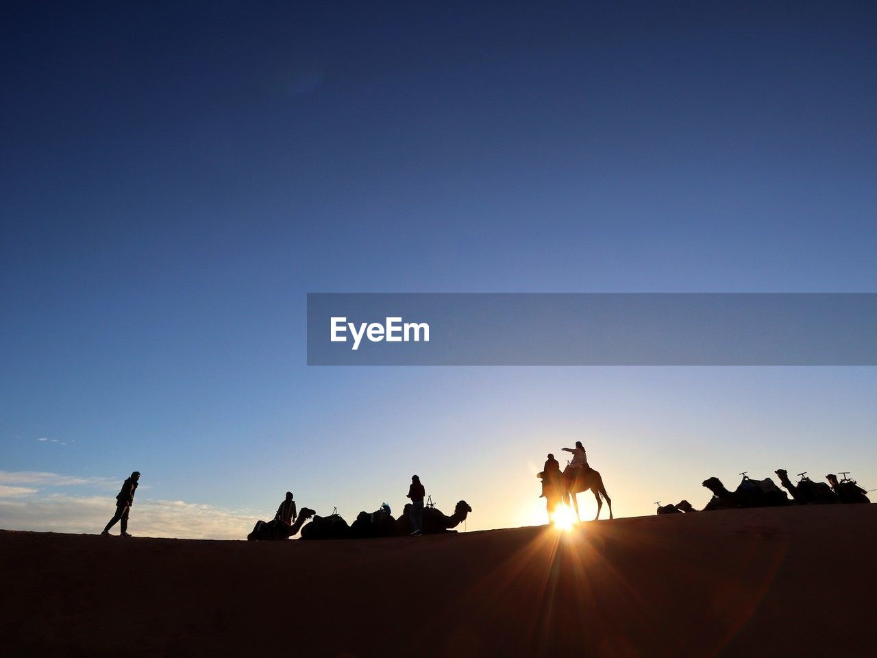 sky, horizon, silhouette, nature, natural environment, group of people, land, camel, desert, mammal, landscape, animal, copy space, animal themes, sunlight, blue, adult, clear sky, domestic animals, sunset, men, travel, scenics - nature, environment, group of animals, sun, beauty in nature, walking, leisure activity, animal wildlife, sand, outdoors, sand dune, travel destinations, activity, erg, group, motion, riding, lifestyles, dusk, medium group of people, adventure, working animal, togetherness