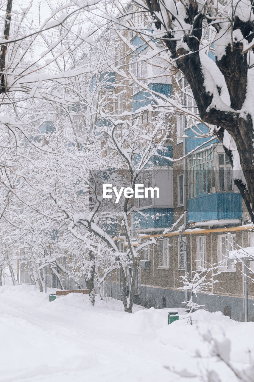 snow, cold temperature, winter, tree, architecture, nature, plant, white, building exterior, built structure, bare tree, freezing, branch, environment, building, beauty in nature, frozen, no people, winter storm, day, outdoors, scenics - nature, landscape, land, blizzard, extreme weather, tranquility, frost, snowing, travel destinations, city, house, tranquil scene, storm, travel