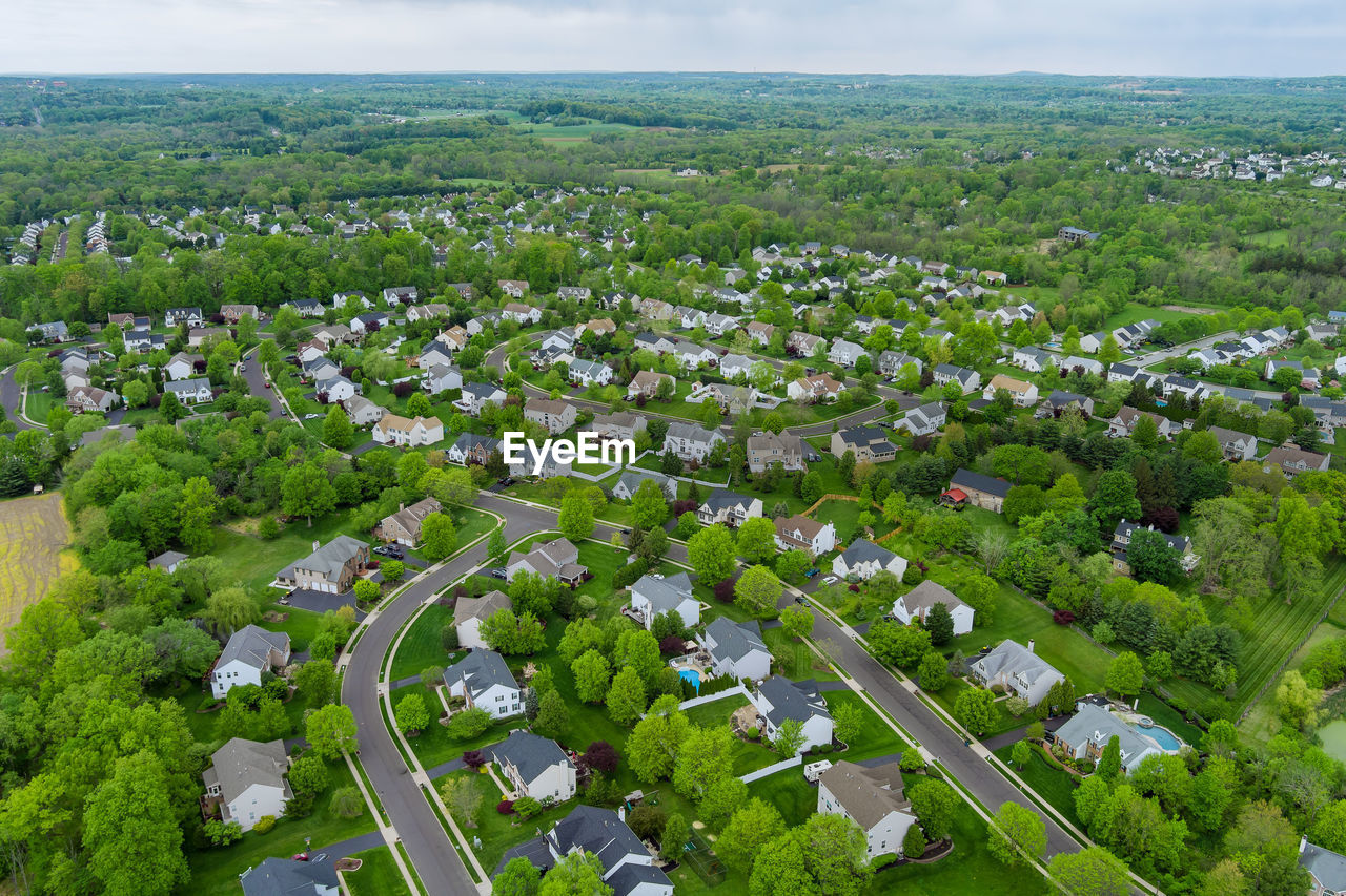 HIGH ANGLE VIEW OF TREES GROWING IN CITY