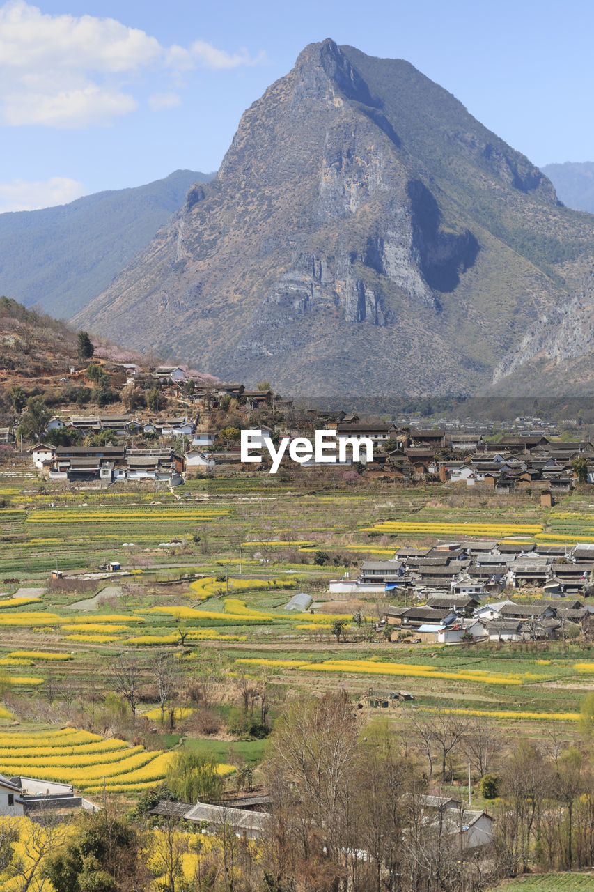 Scenic view of agricultural field against mountain range