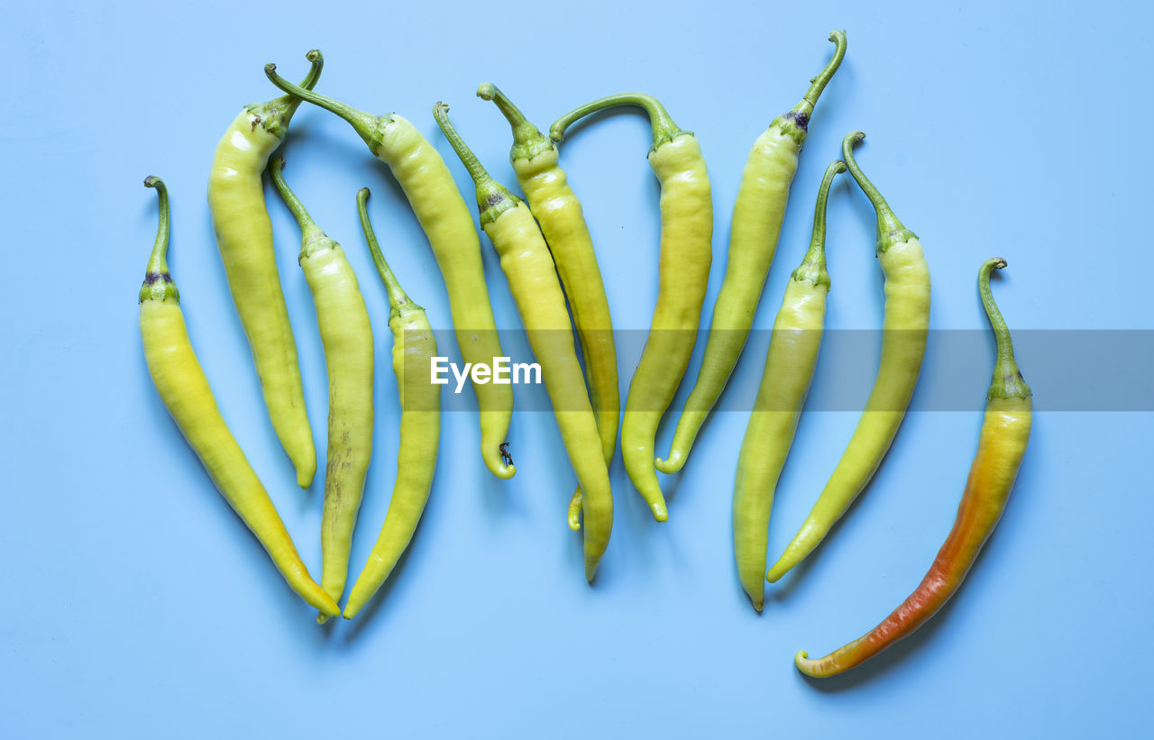 Hot green peppers on light blue background