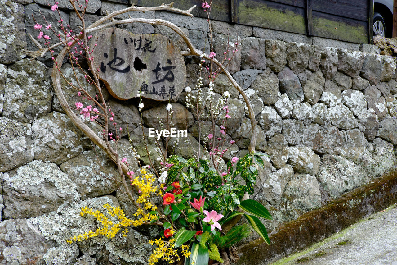 Flower bouquet against wall