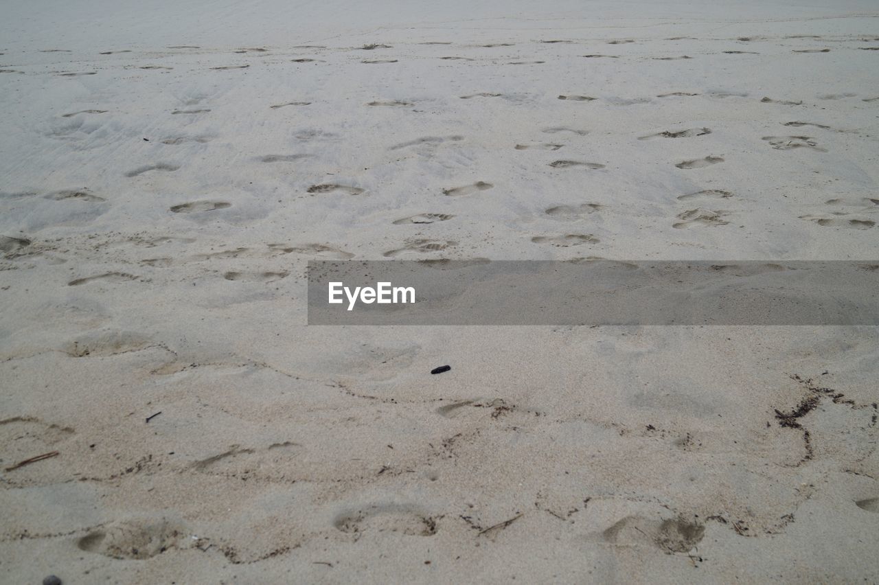 HIGH ANGLE VIEW OF FOOTPRINTS ON SAND