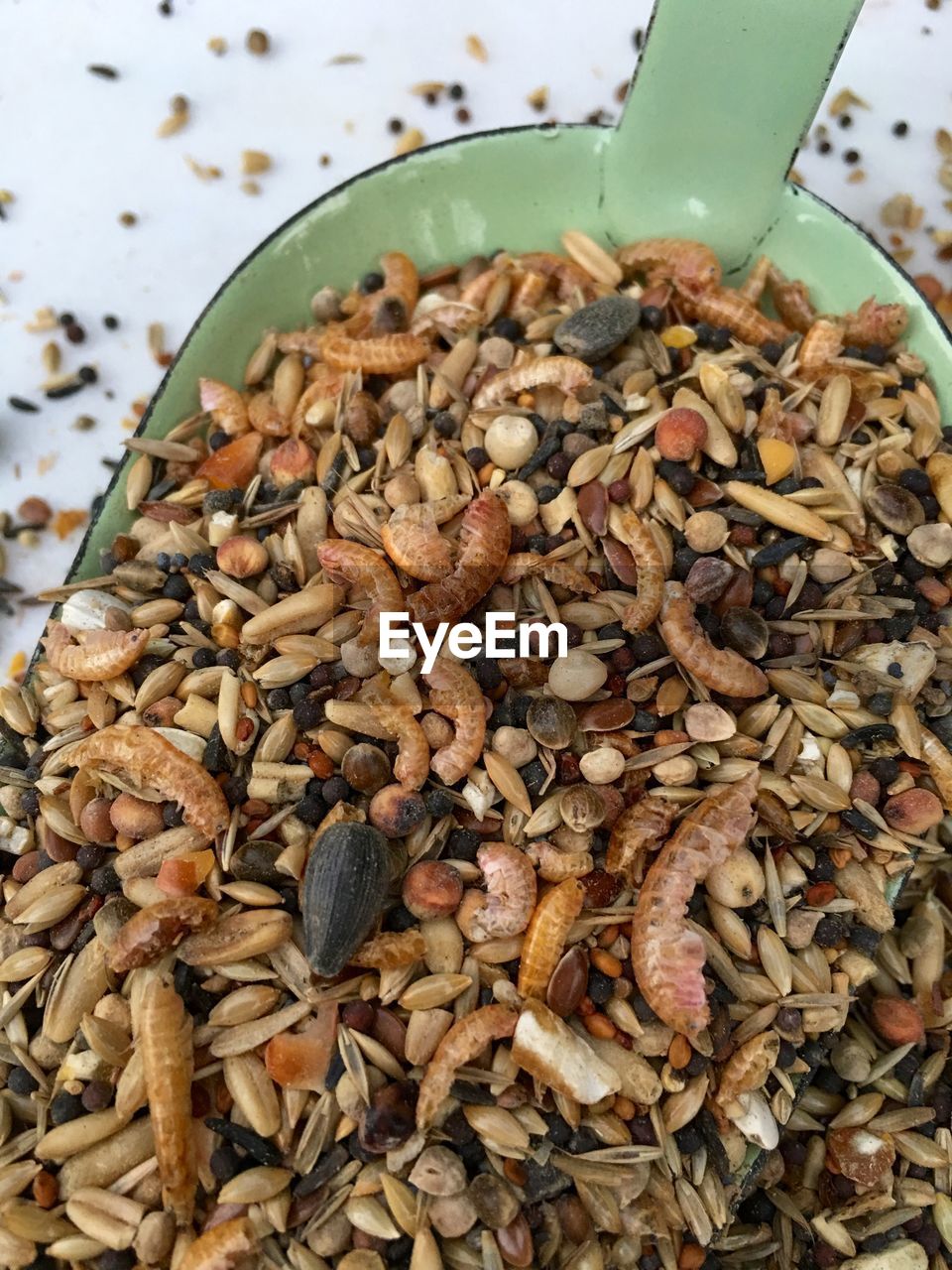 Close-up of various seeds and worms in shovel