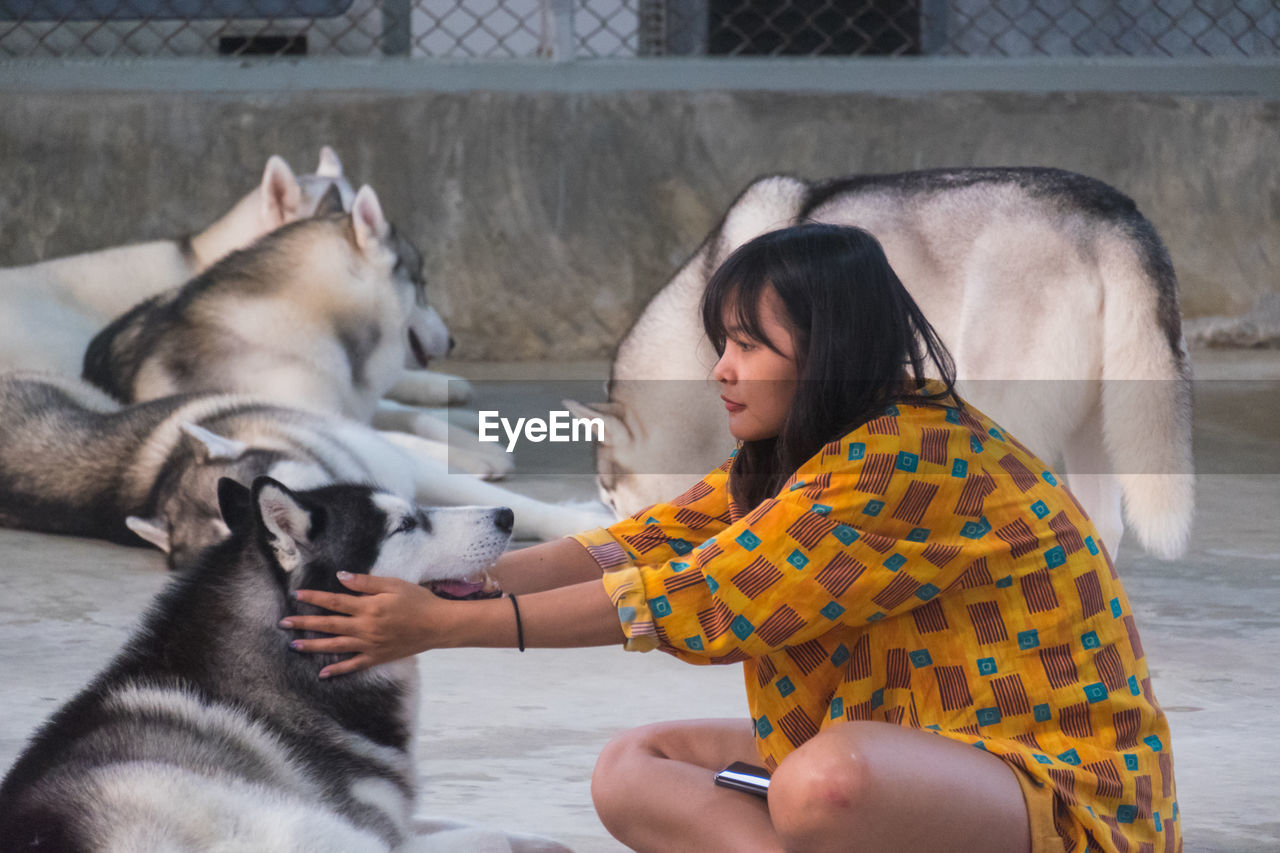 Mid adult woman with siberian husky sitting outdoors