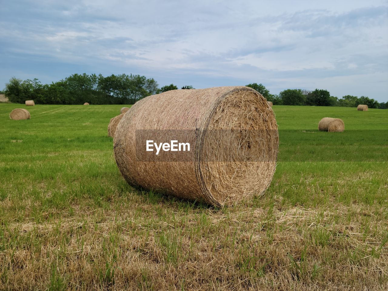 Hay bales on field against sky