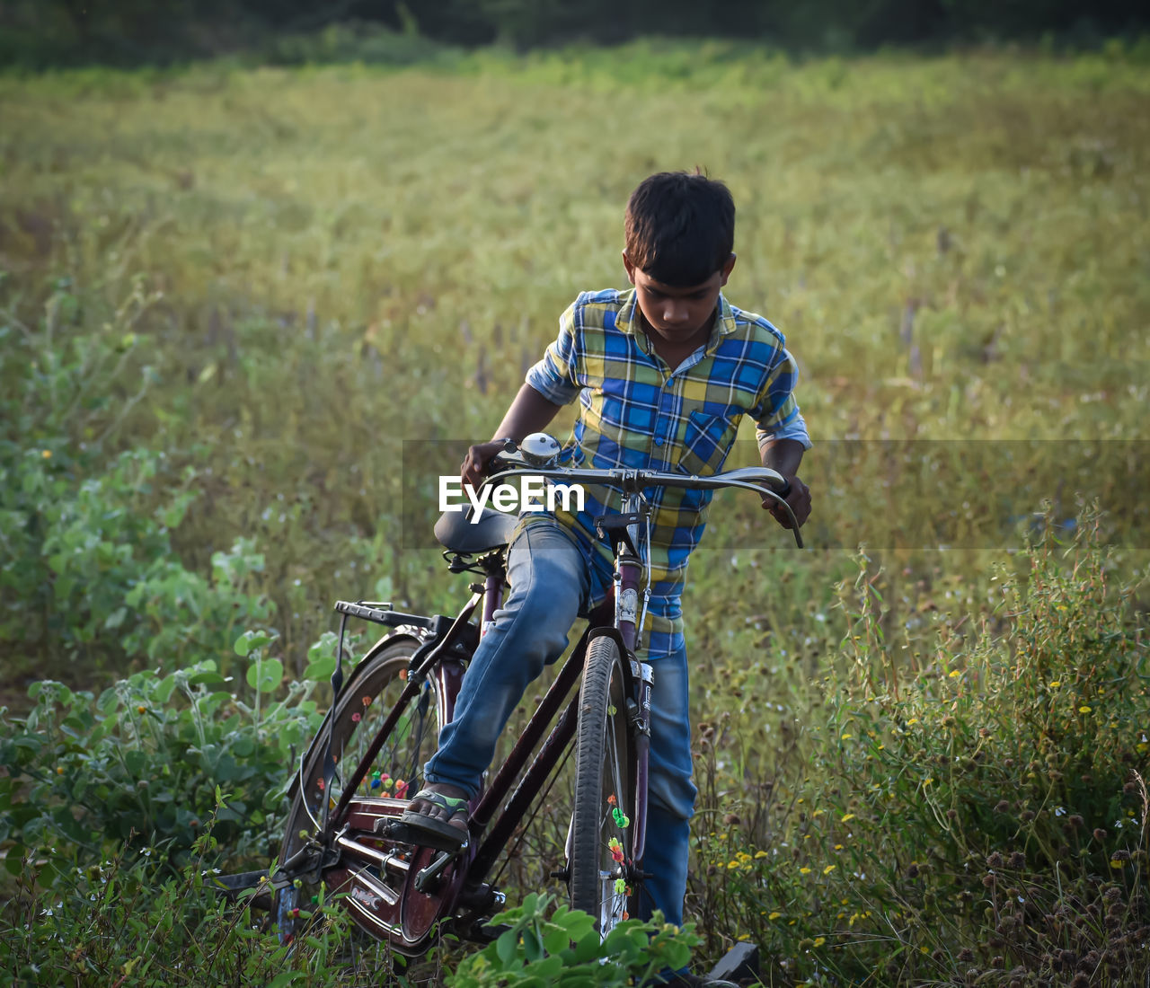 REAR VIEW OF BOY ON BICYCLE FIELD