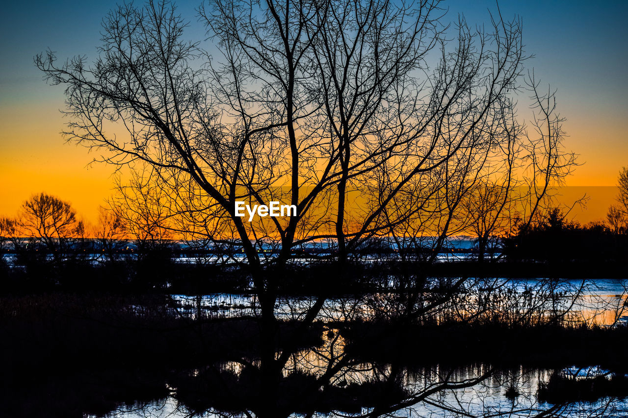 SILHOUETTE BARE TREES BY LAKE AGAINST ORANGE SKY