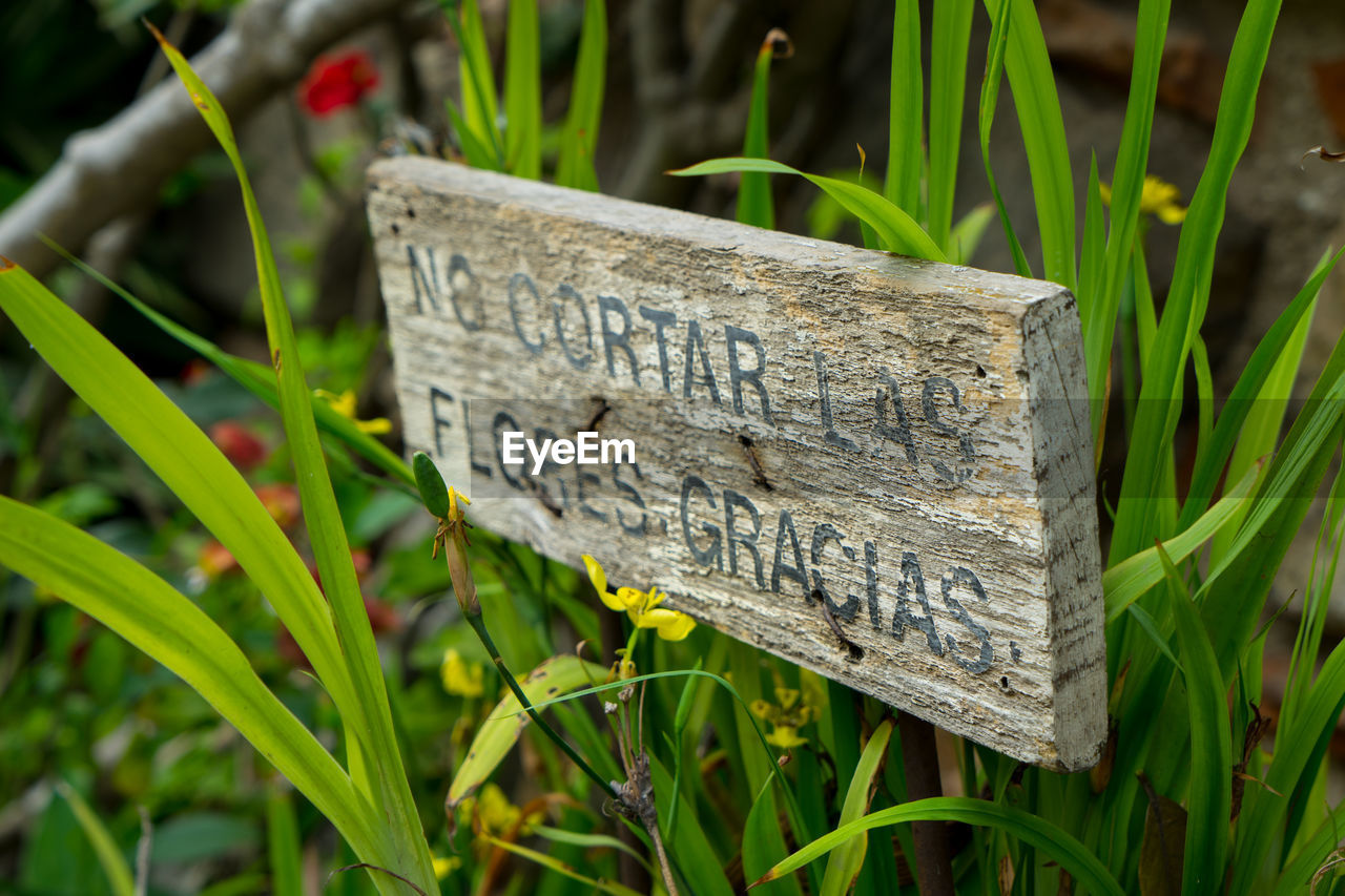 CLOSE-UP OF SIGN ON GRASS