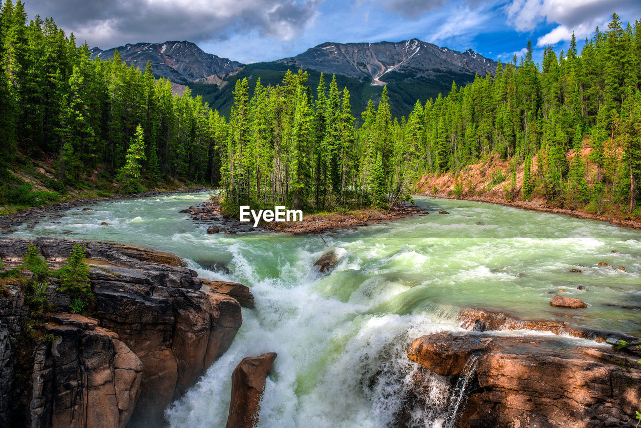 scenic view of waterfall in forest against sky