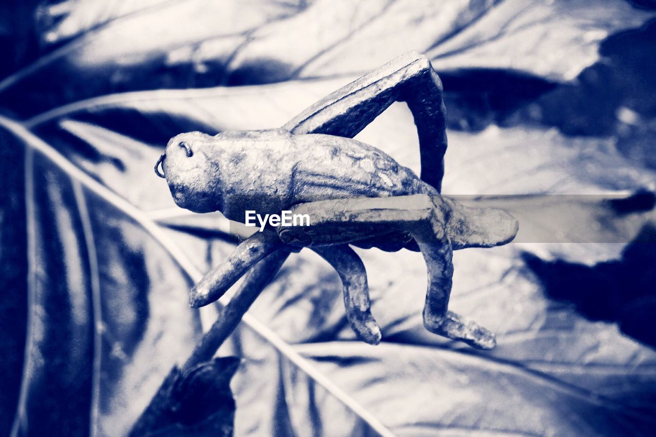 Close-up of metallic sculpture of insect in garden