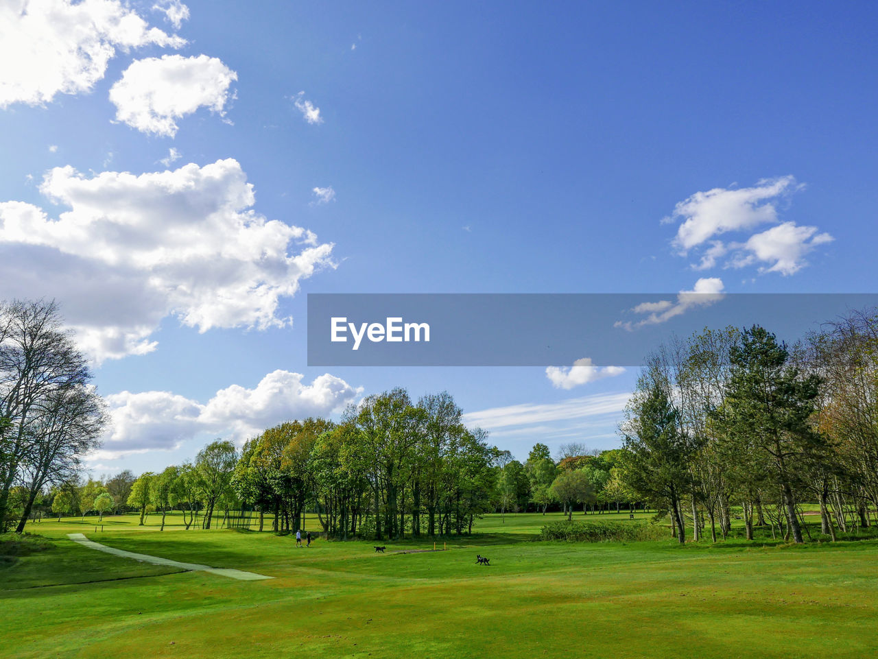 Scenic view of grassy field against sky