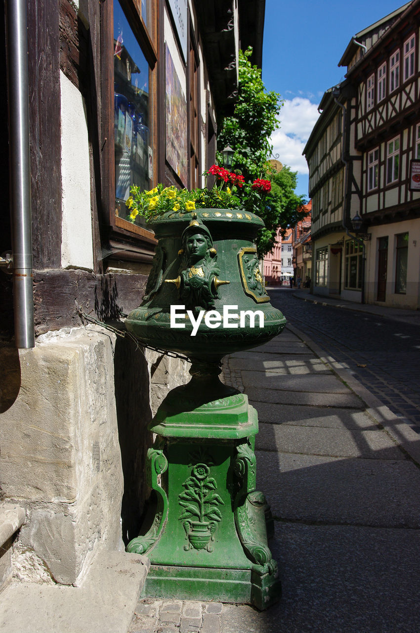 POTTED PLANTS ON STREET AGAINST BUILDINGS