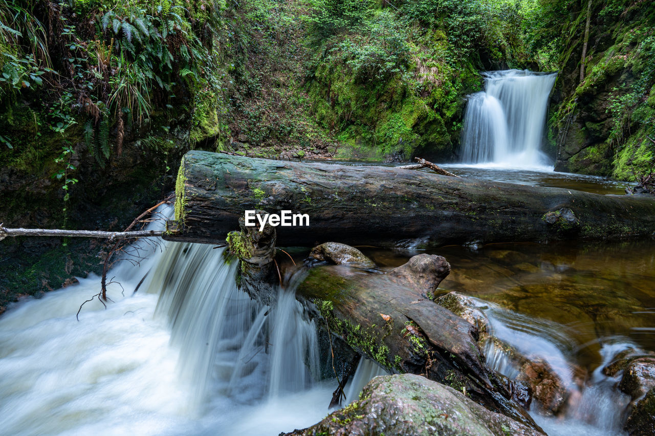 waterfall, water, body of water, beauty in nature, tree, nature, scenics - nature, forest, stream, watercourse, plant, environment, motion, river, flowing water, long exposure, water feature, land, water resources, rainforest, flowing, rock, creek, wilderness, rapid, autumn, non-urban scene, blurred motion, travel destinations, natural environment, outdoors, no people, landscape, falling, environmental conservation, jungle, tropical climate, social issues, travel, idyllic, moss, power in nature, tourism, wet, state park, woodland, foliage, speed, lush foliage, splashing, tranquility, tranquil scene, tropical tree, day