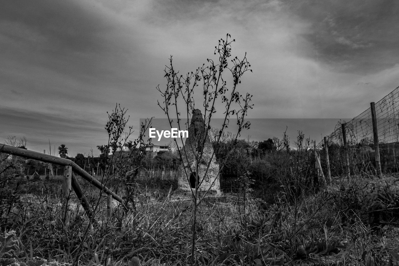 sky, plant, black and white, cloud, monochrome photography, fence, monochrome, nature, tree, land, grass, landscape, rural area, no people, environment, field, growth, outdoors, tranquility, scenics - nature, darkness, day, tranquil scene, protection, security, black, beauty in nature, architecture, wire, barbed wire