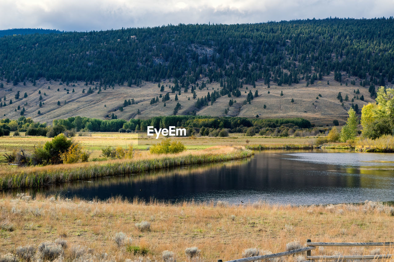 SCENIC VIEW OF LAKE