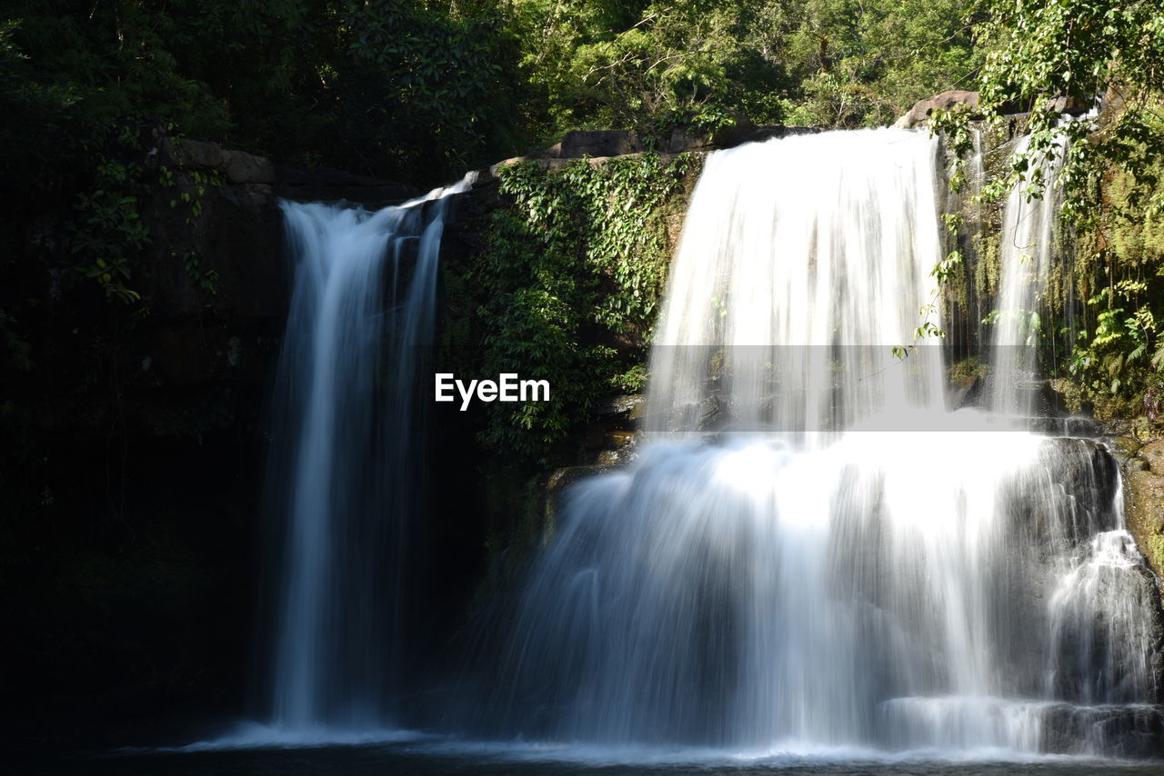 Scenic view of waterfall in forest