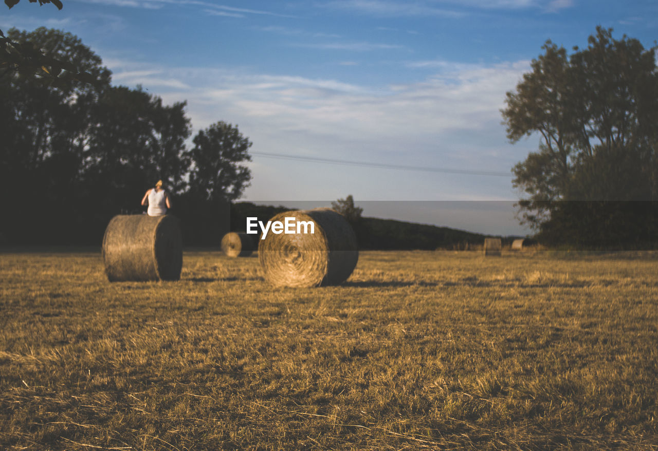 HAY BALES IN FIELD