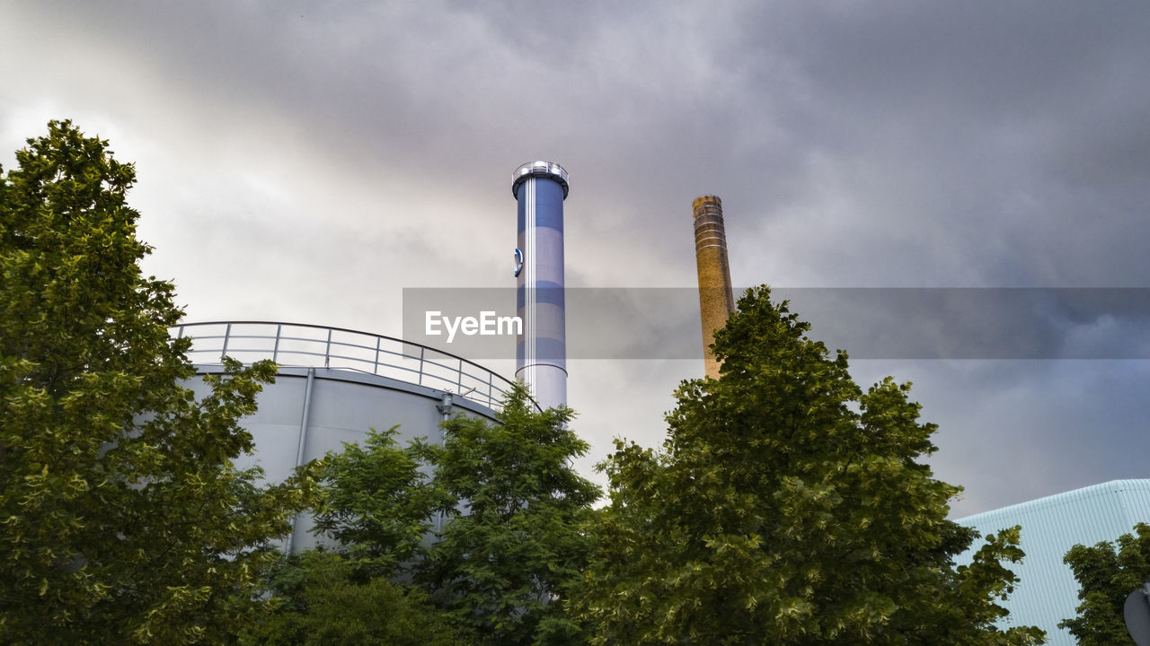 LOW ANGLE VIEW OF PLANTS AGAINST SKY