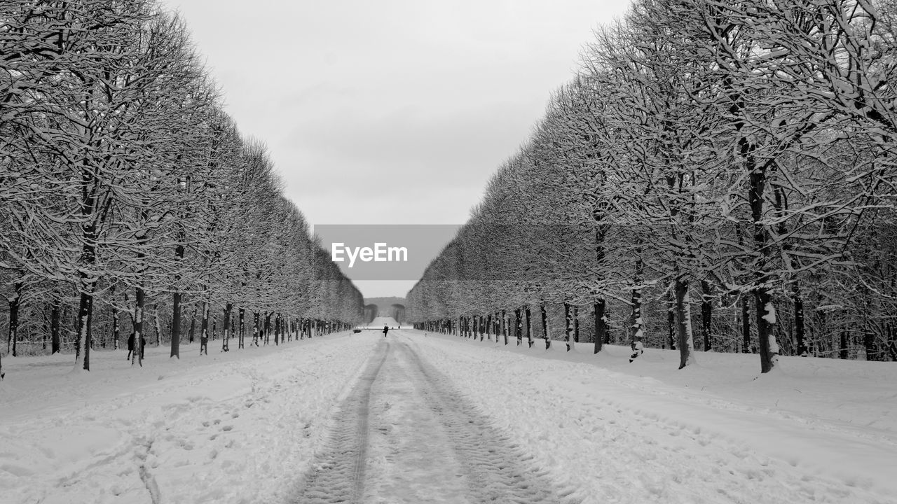 Snow covered trees against sky