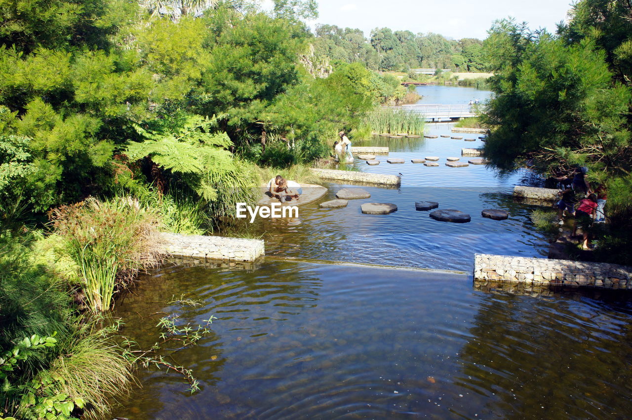 HIGH ANGLE VIEW OF SWAN ON RIVER