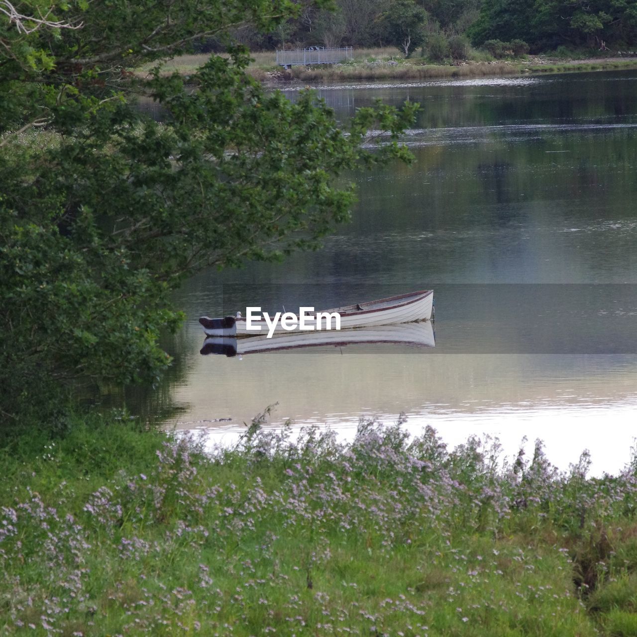 Boat moored on lake against trees