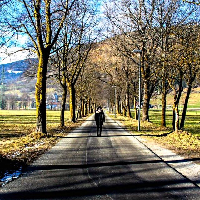 ROAD PASSING THROUGH BARE TREES