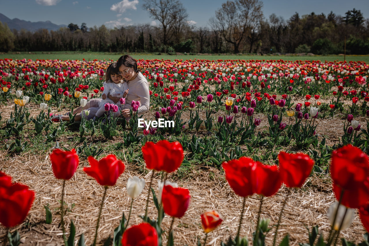 Mother sitting with little daughter amidst big tulip field