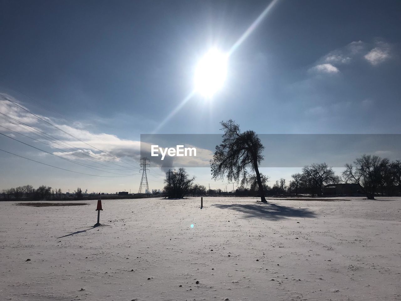 TREES ON SNOWCAPPED FIELD AGAINST SKY