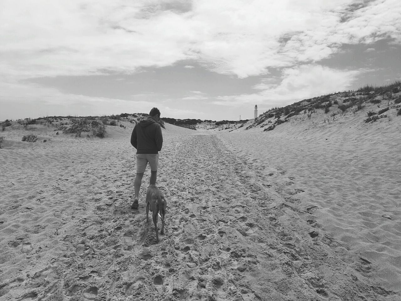 Rear view of man with dog walking on sand against sky at beach