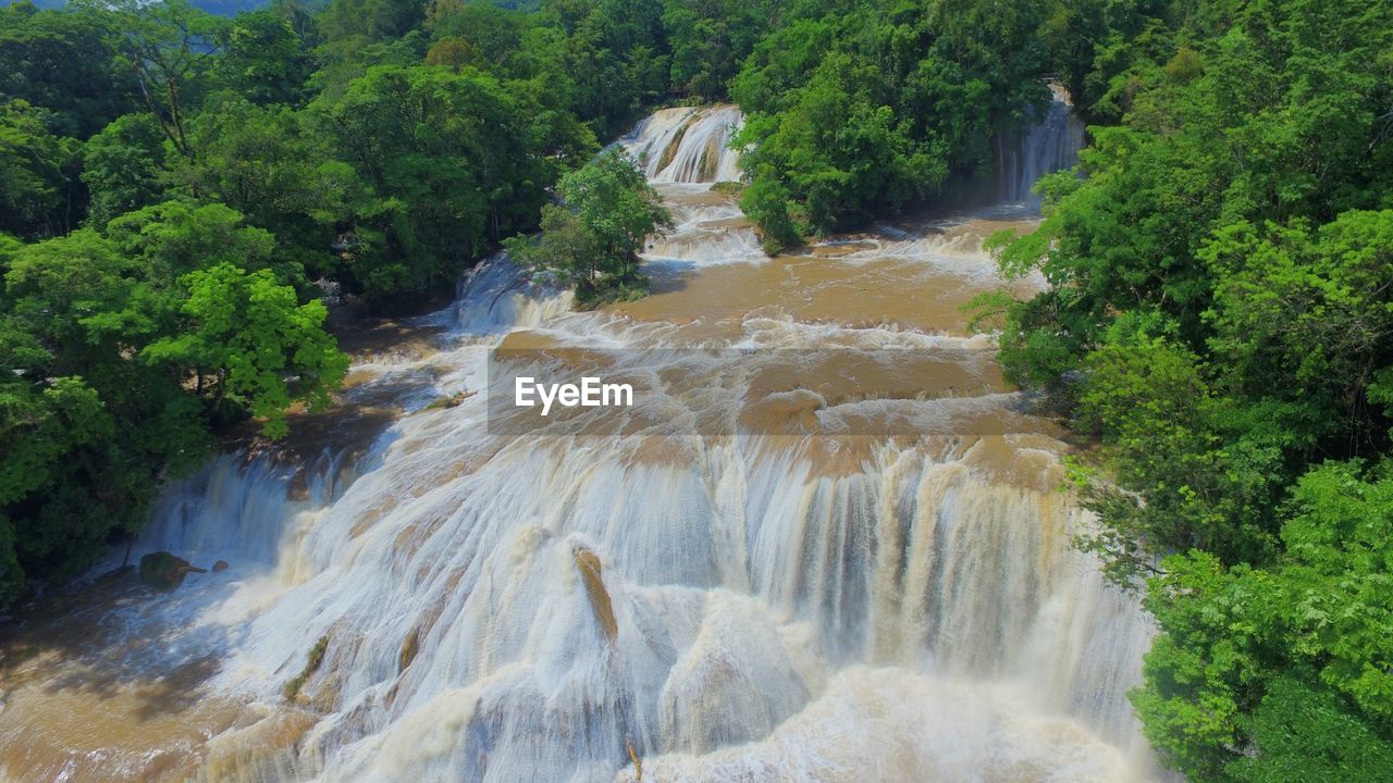 Scenic view of waterfall in forest