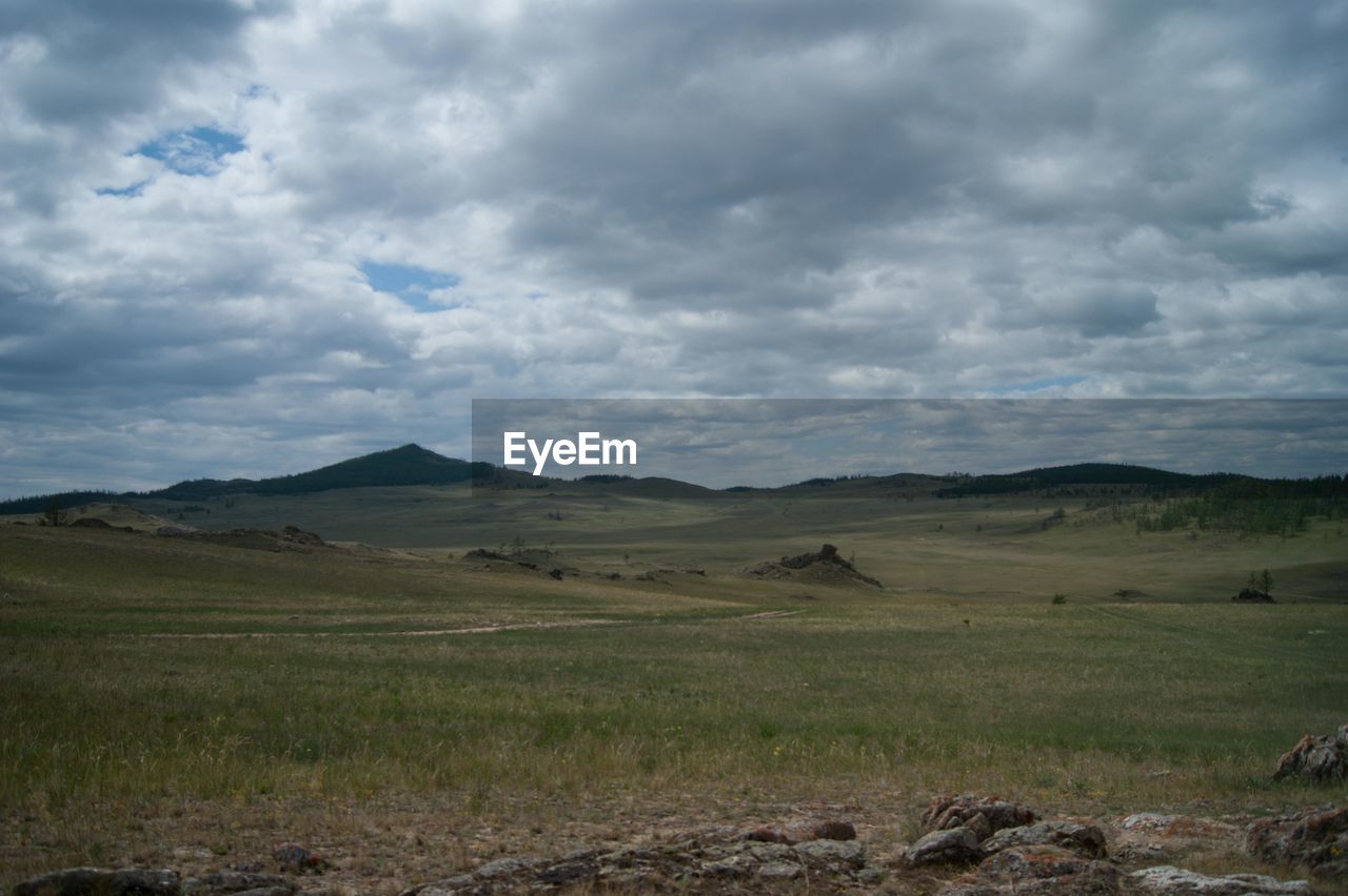 Scenic view of field against sky