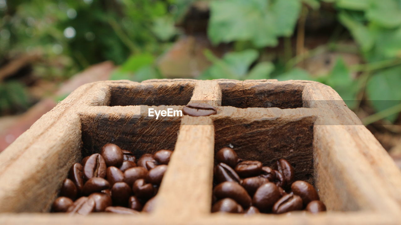 CLOSE-UP OF COFFEE BEANS ON WOODEN POST