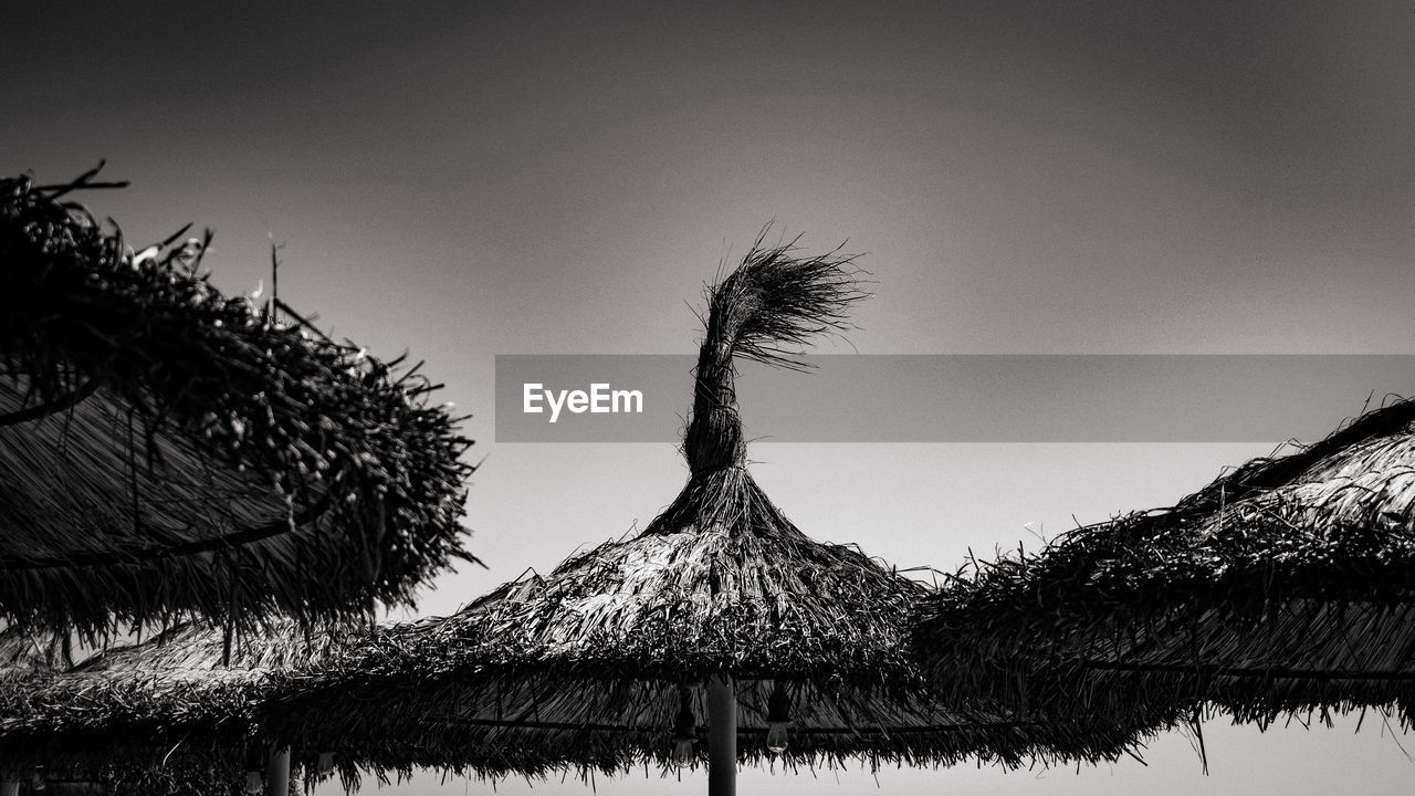 black and white, tree, sky, monochrome, thatched roof, monochrome photography, plant, nature, darkness, beauty in nature, no people, reflection, palm tree, tranquility, scenics - nature, water, black, land, tropical climate, mountain, environment, outdoors, tranquil scene, roof, non-urban scene, landscape, travel destinations, winter, cloud, day