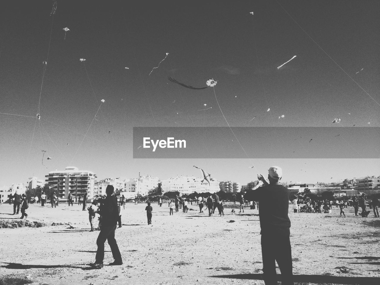 People flying kites at beach