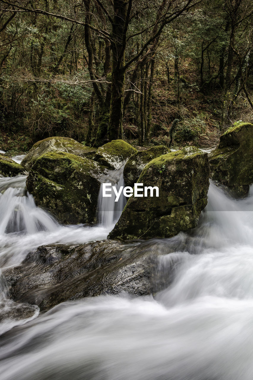 SCENIC VIEW OF WATERFALL