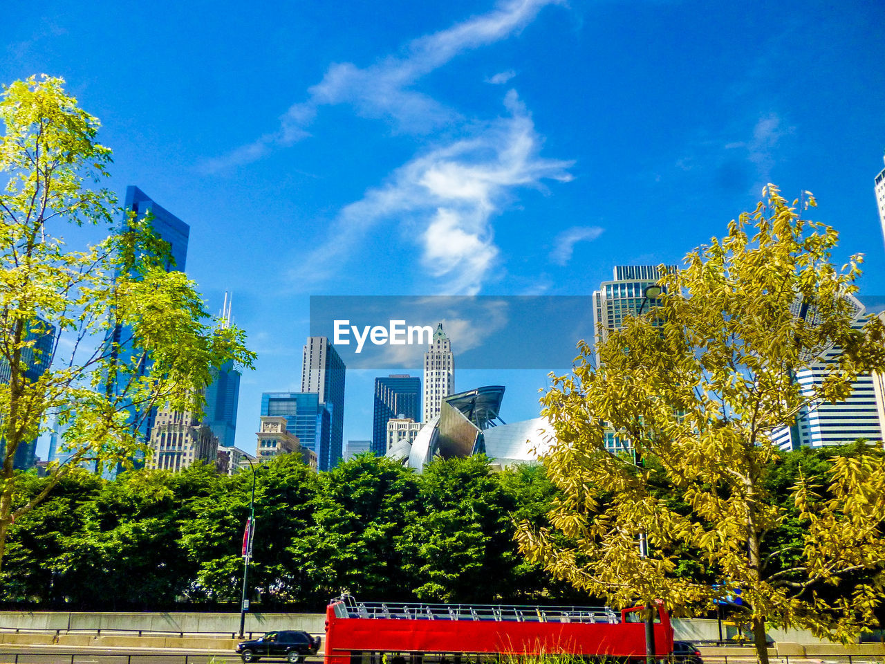 Trees and cityscape against blue sky