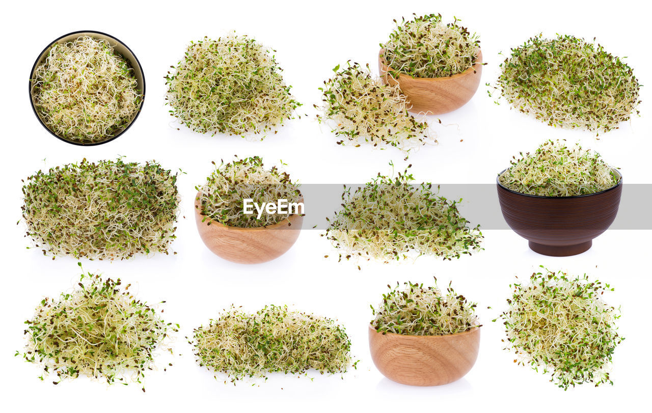 HIGH ANGLE VIEW OF VEGETABLES AGAINST WHITE BACKGROUND