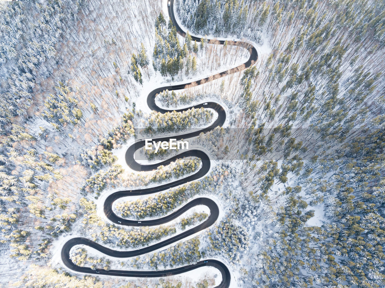 Aerial view of winding road in high mountain pass trough pine woods snowed