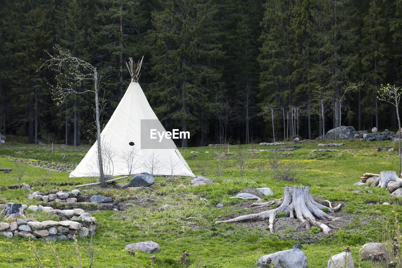 TENT ON FIELD AGAINST TREES