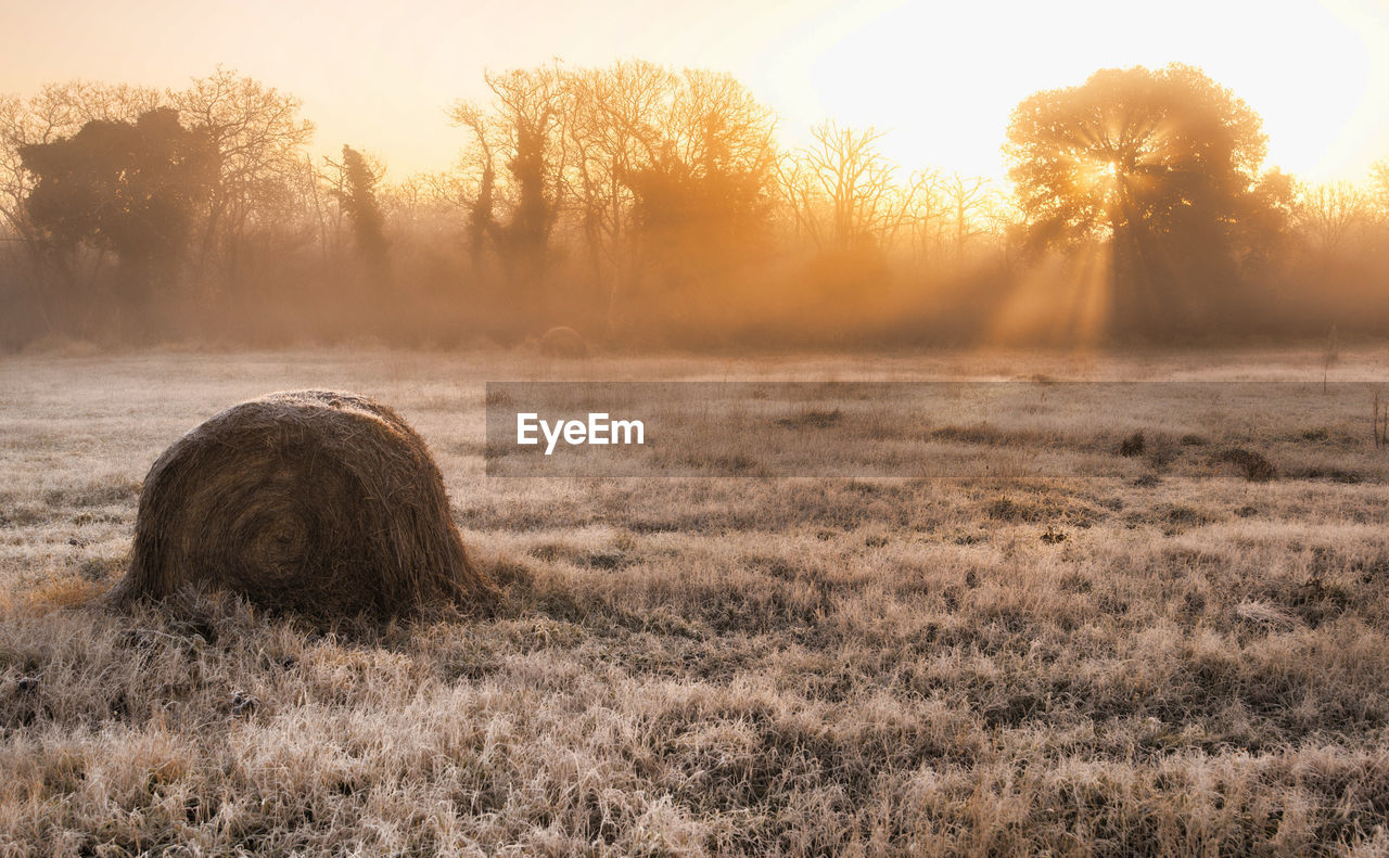 Hay bales on field against sky