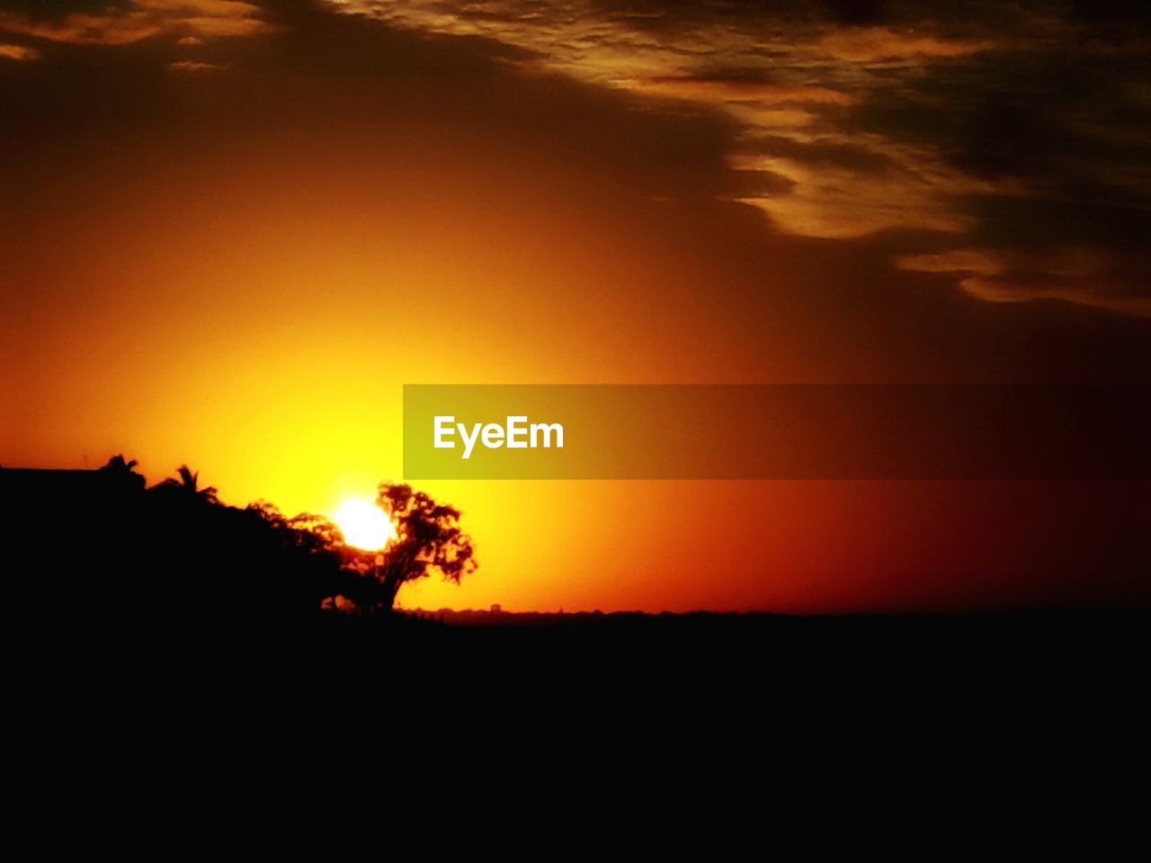 SILHOUETTE TREES ON LANDSCAPE AGAINST ORANGE SKY