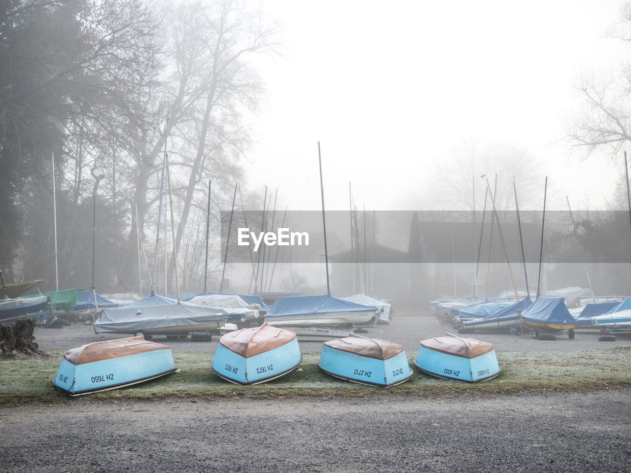 Boats on shore