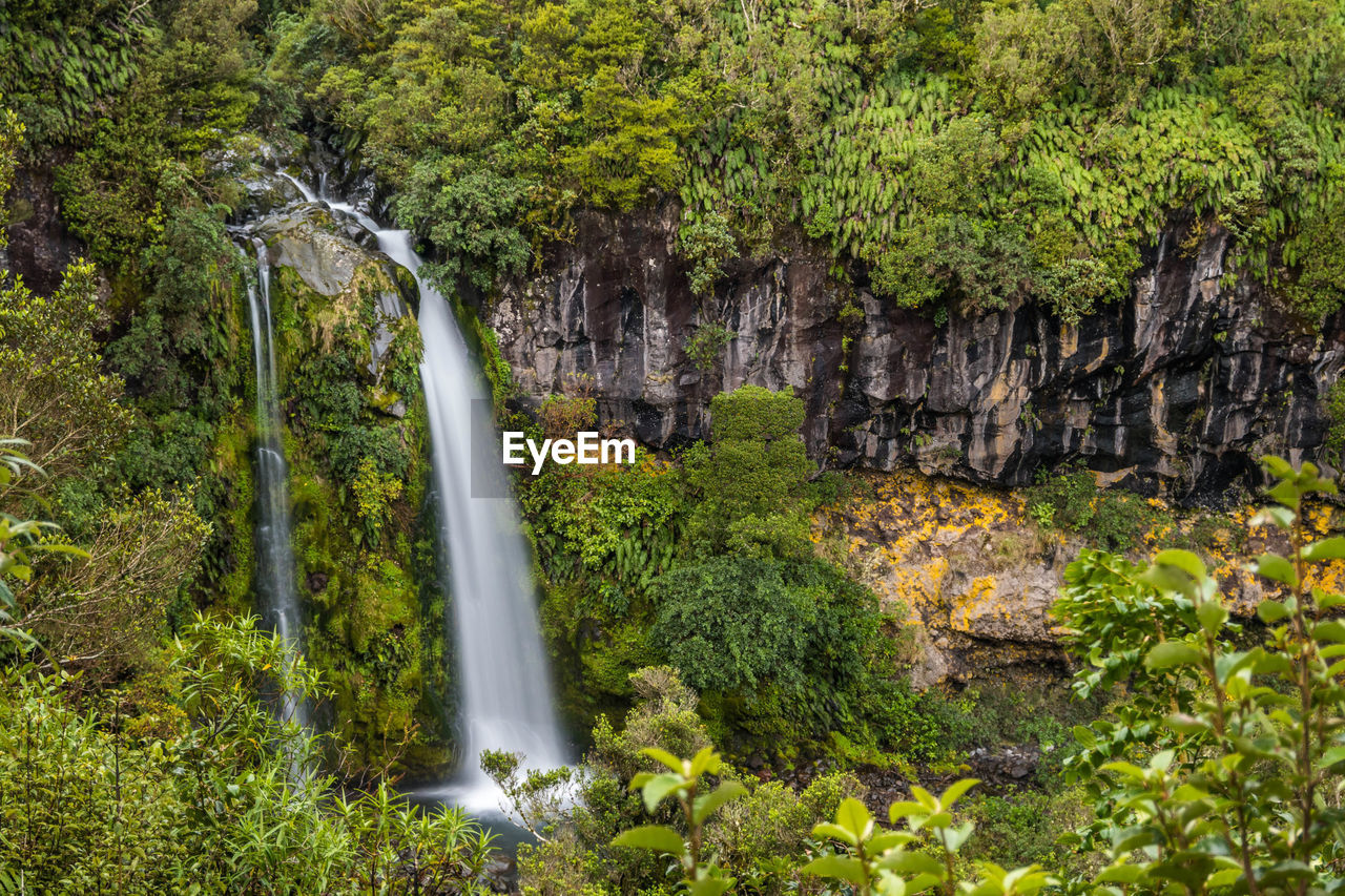 scenic view of waterfall