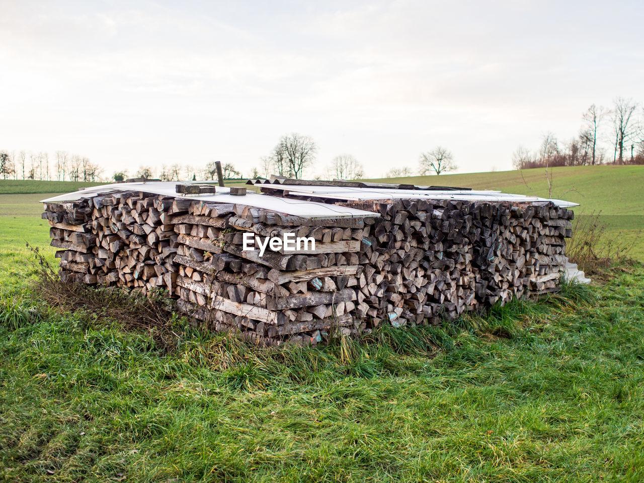 STACK OF LOGS IN FIELD