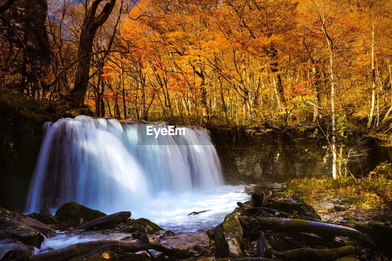 Scenic view of waterfall in forest during autumn