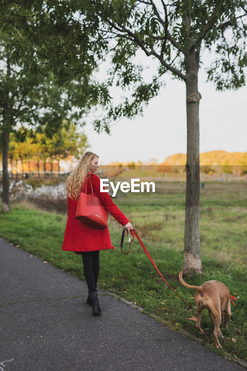 Woman with dog on road against trees