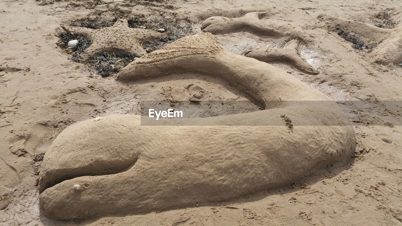 HIGH ANGLE VIEW OF STARFISH ON SAND