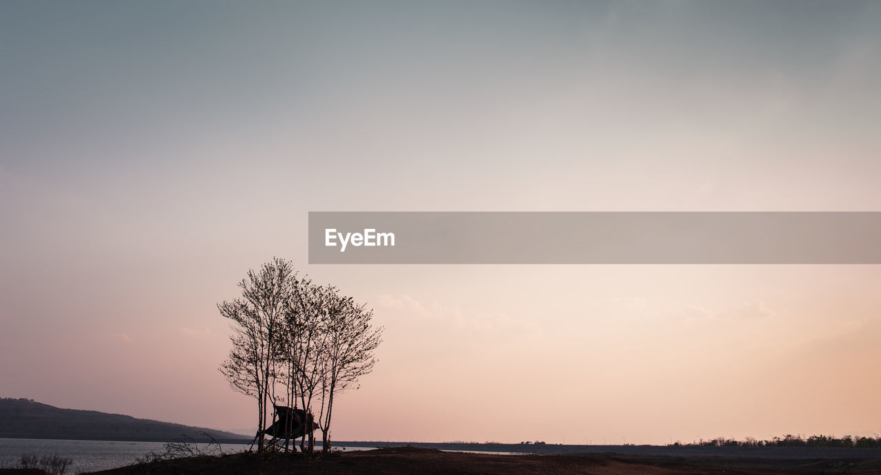 Silhouette tree on field against sky during sunset